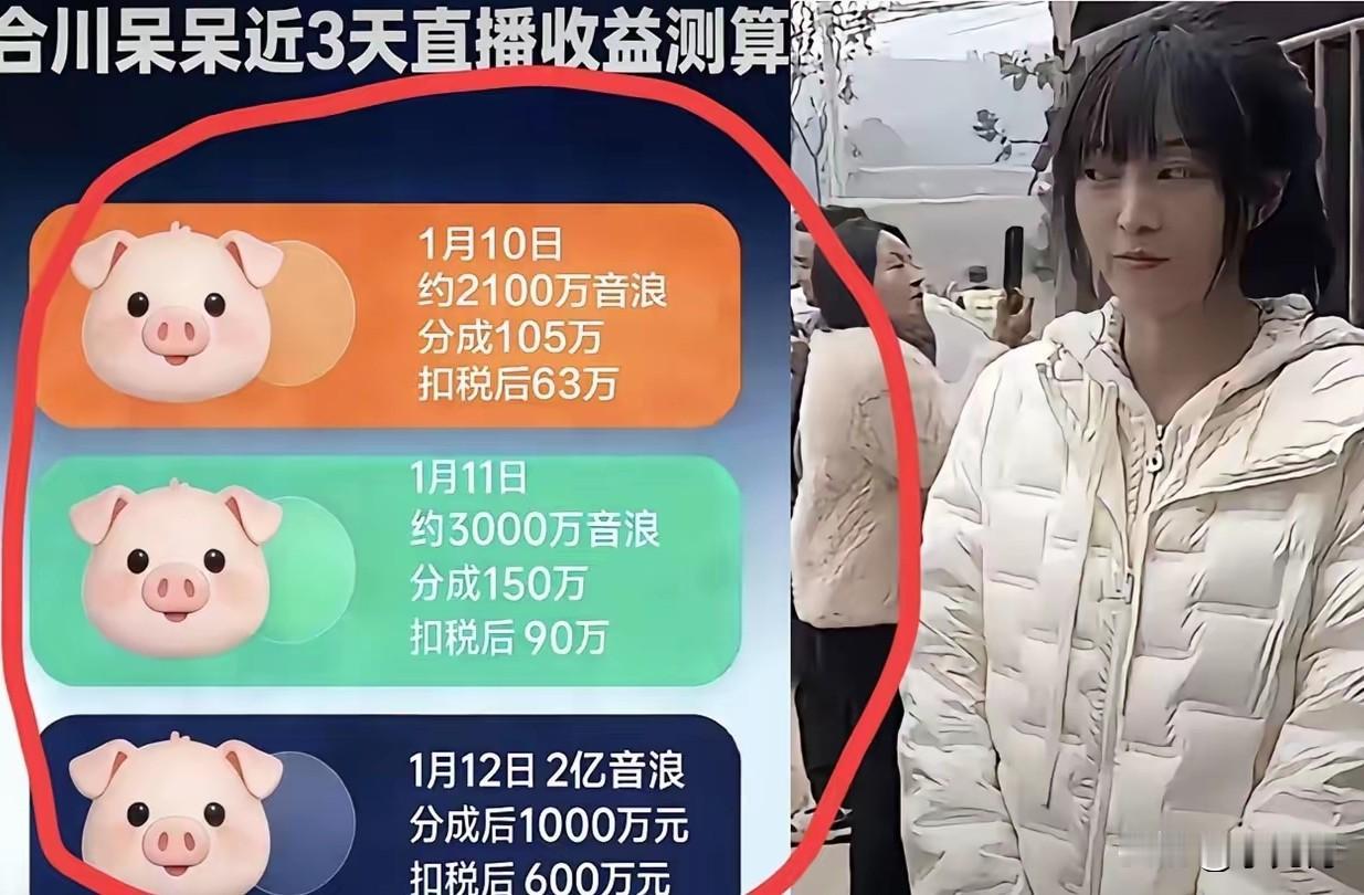 由于呆呆的“闯祸” ，让合川文旅接到了这破天的富贵，看似“无心插柳柳成荫”，其实