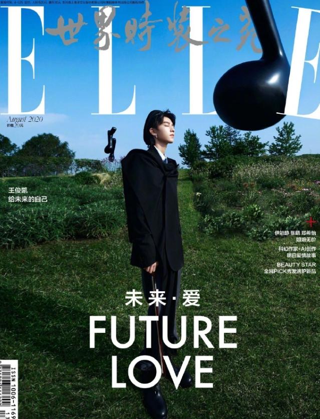 九位登上ELLE封面的95后男星！
王俊凯4登，养成系，顶流，国民度高；刘昊然3