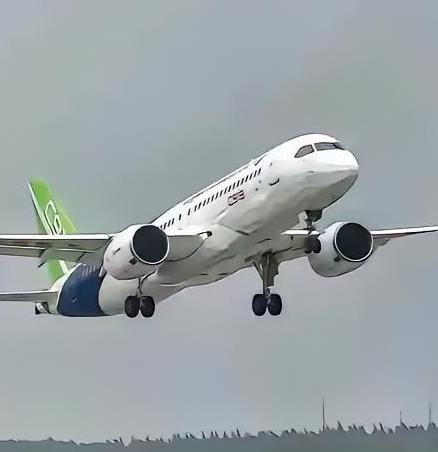 咱们自己造的大飞机C919，最近被欧美在适航证上给设了卡。他们一边拖着不办，就是