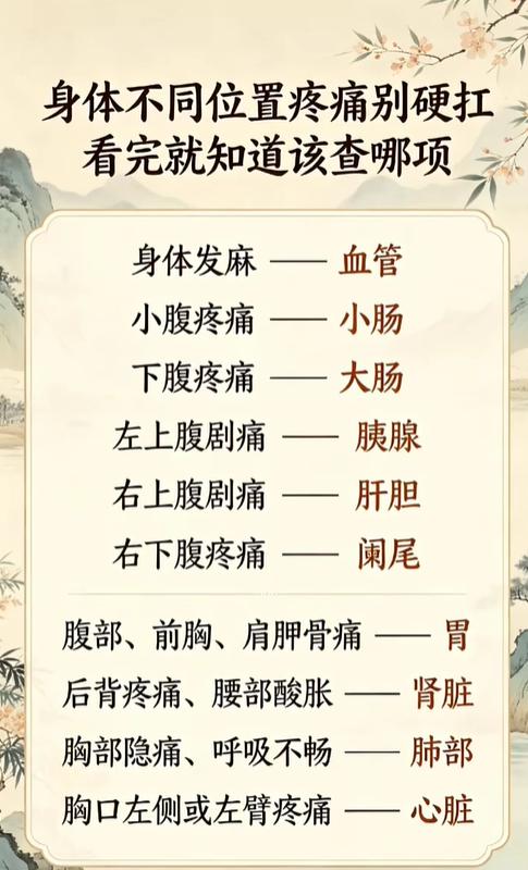 腹痛、背痛、胸口疼，不同部位疼痛，对应不同脏器问题