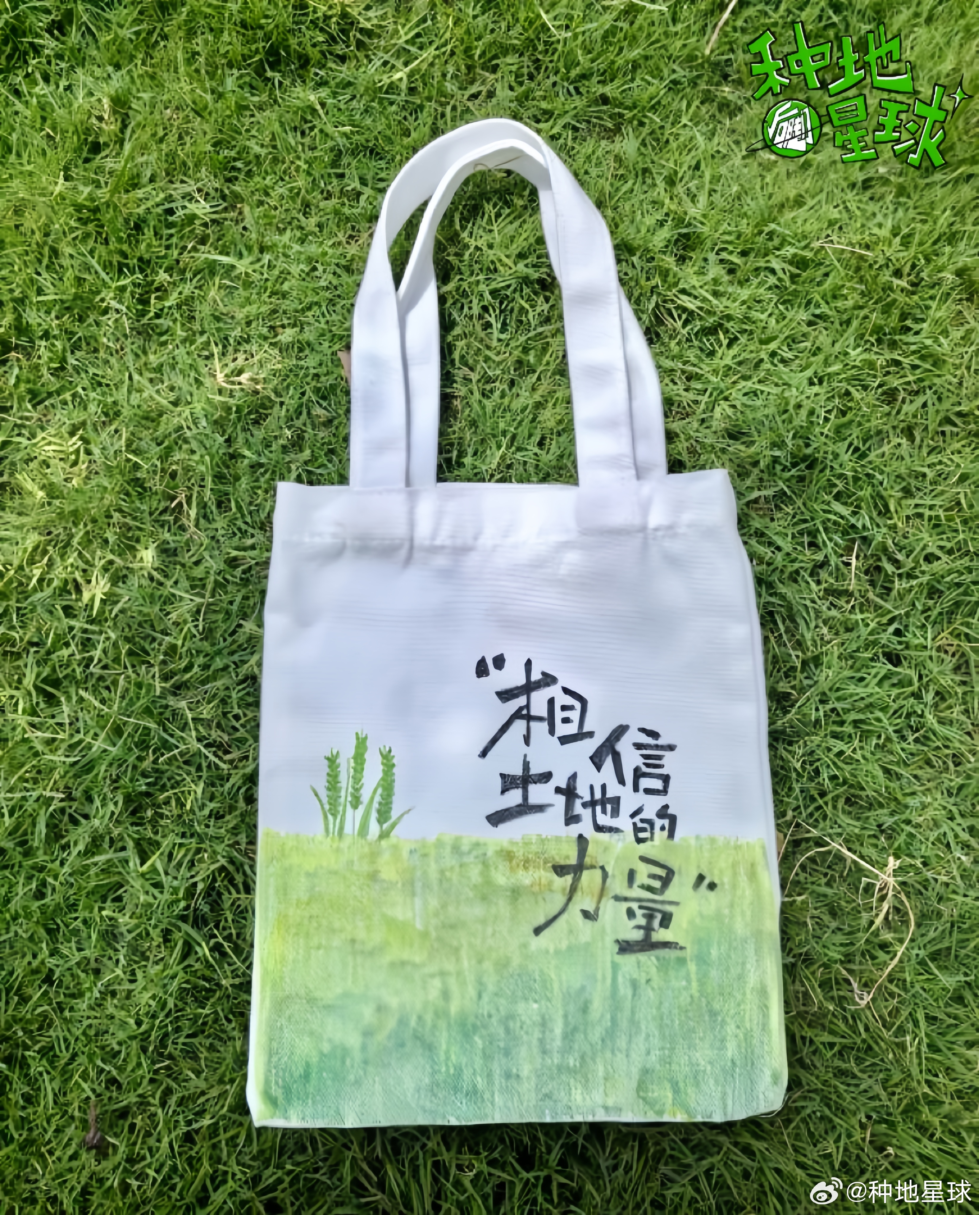 拓出花样🌸 画出趣味🎨植物拓印又来咯！用传统古老手工技艺，与治愈的草木温柔相