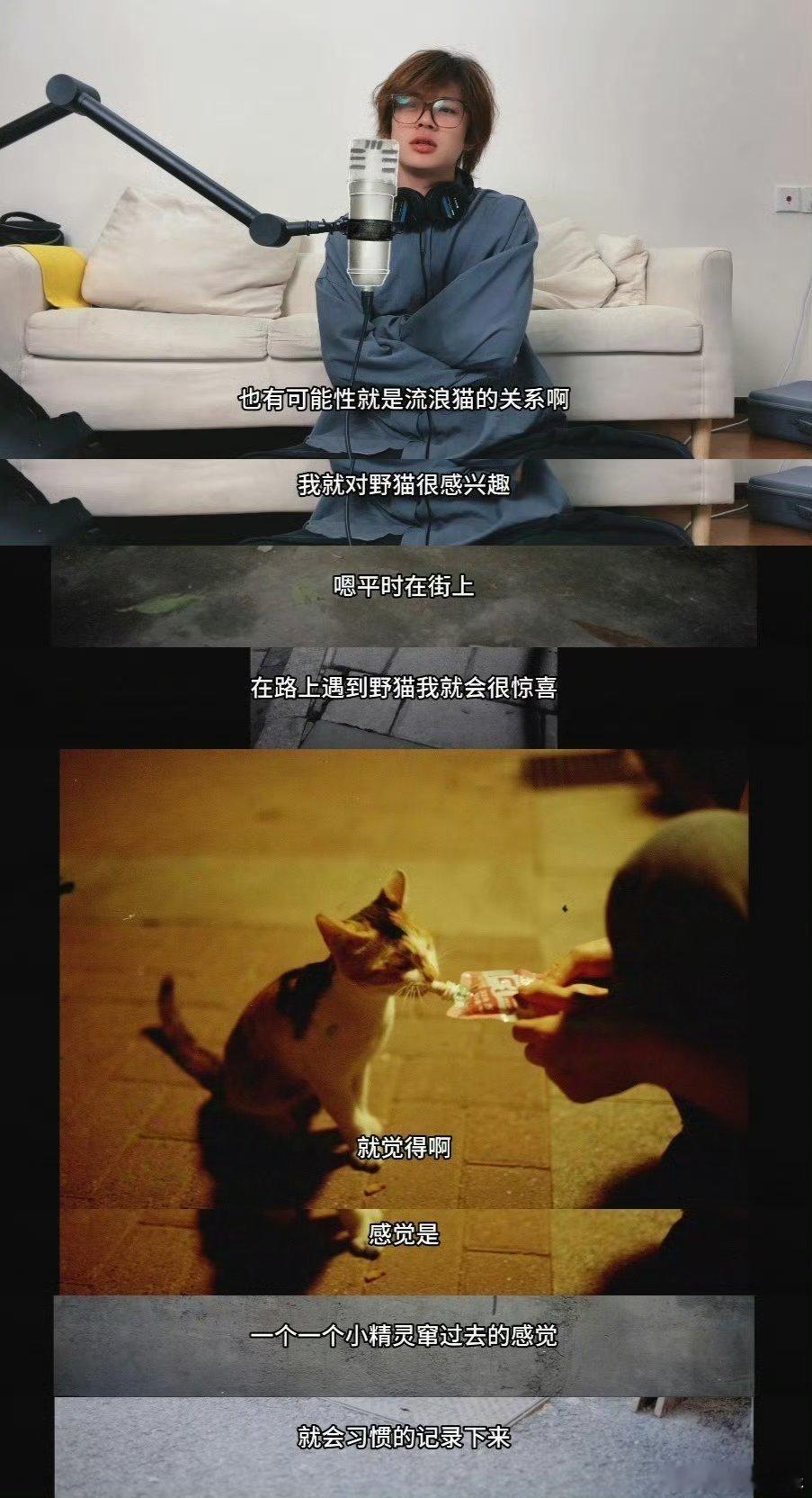 #晨艺 见到领养界心软的神了#王晨艺好暖心这就是偶像的力量把让人感动精神状态绝美