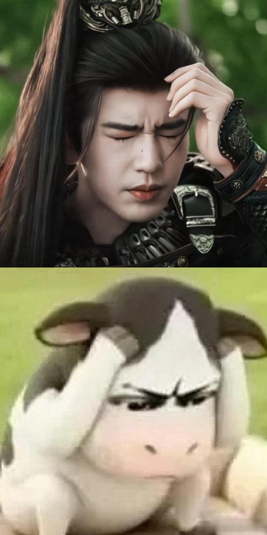 武安侯：牛脑袋嗡嗡的！哈哈哈哈哈 😂逐玉