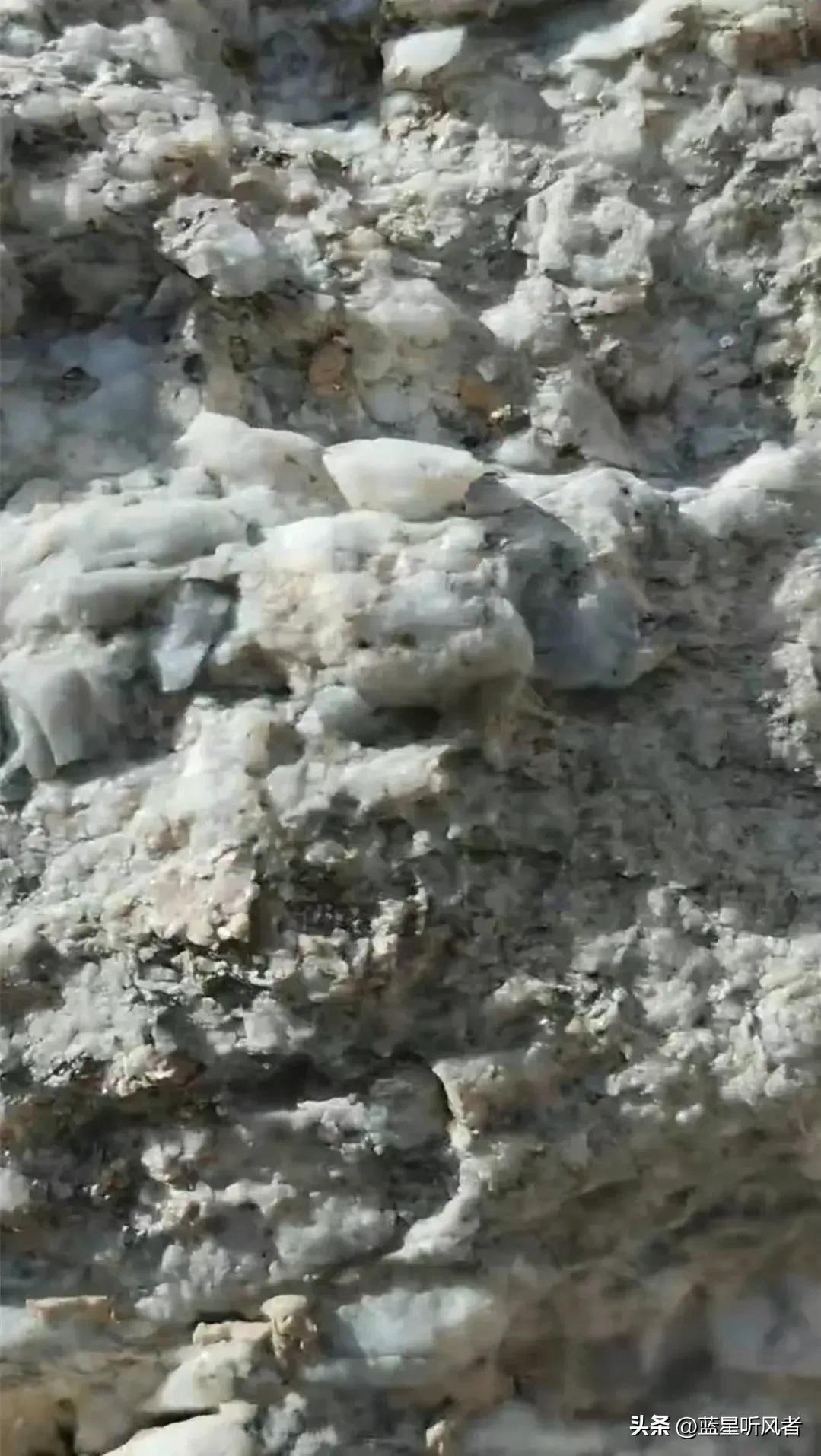 最近AI服务器产业链炒得火热，上游的化工材料都跟着涨。电子级玻璃纤维（电子布）因