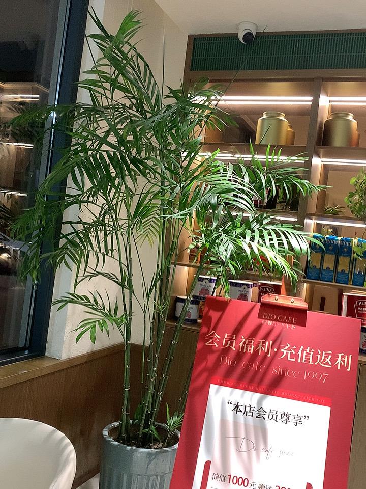 离过年还有十多天了，你们都开始抢票了吗？

今天朋友让我帮她在网上助力抢票，说昨