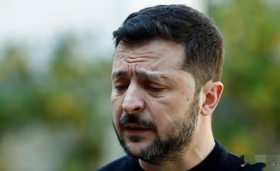 四年战争乌克兰得到了什么？

第一，没有加入北约。
第二，没有加入欧盟。
第三，