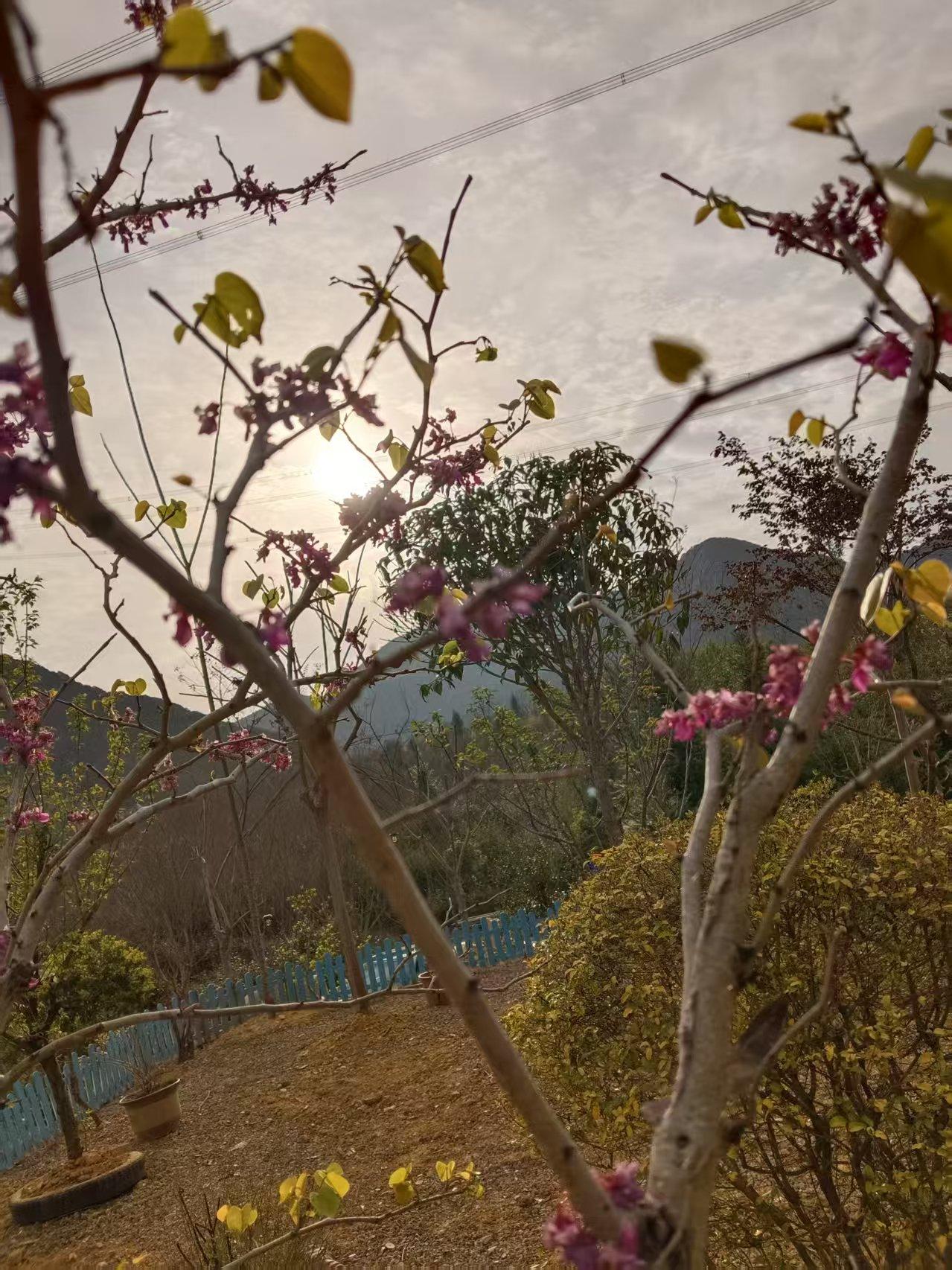 可以分享一张你拍的天空美照吗