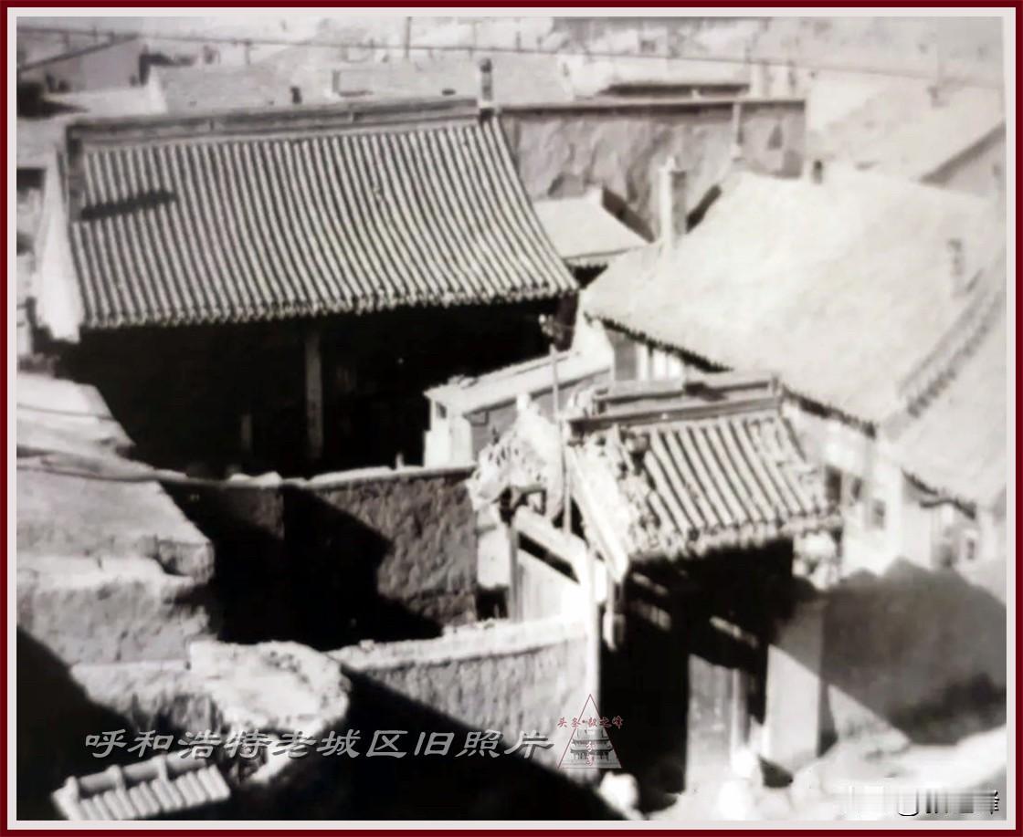 呼市老照片、呼市话：呼市话 呼市话当中有个词儿叫“不踜（leng）”，简明扼要，