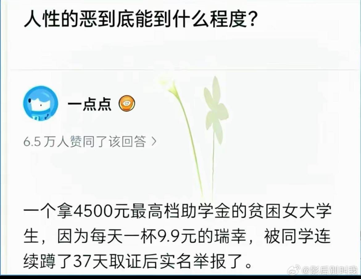 这不是恶，是除恶扬善。把补助金给更需要的同学 