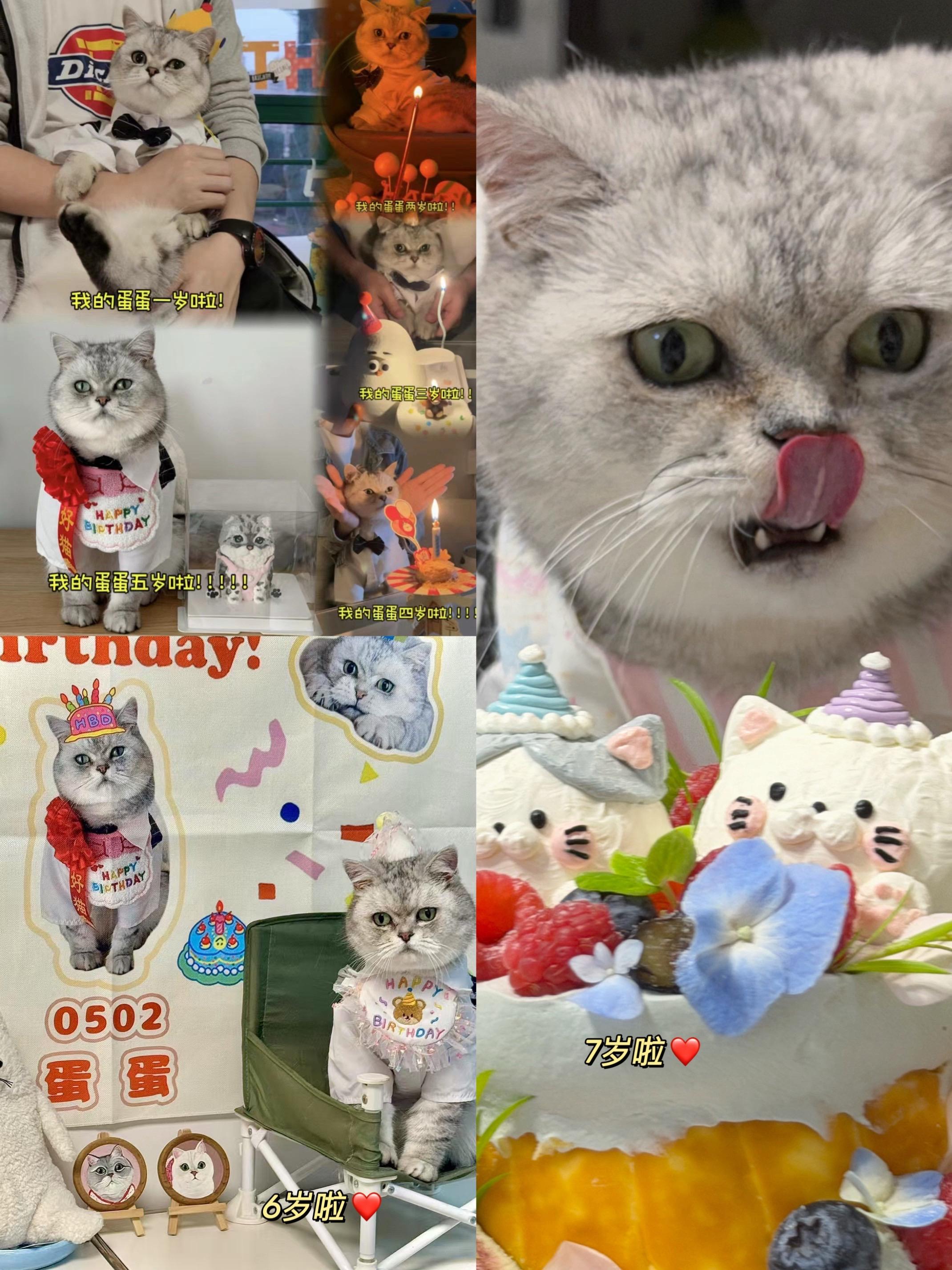 生日快乐🎂 有你在的第7年。在这个春天，蛋蛋7岁啦～ 蛋蛋出生在五月...
