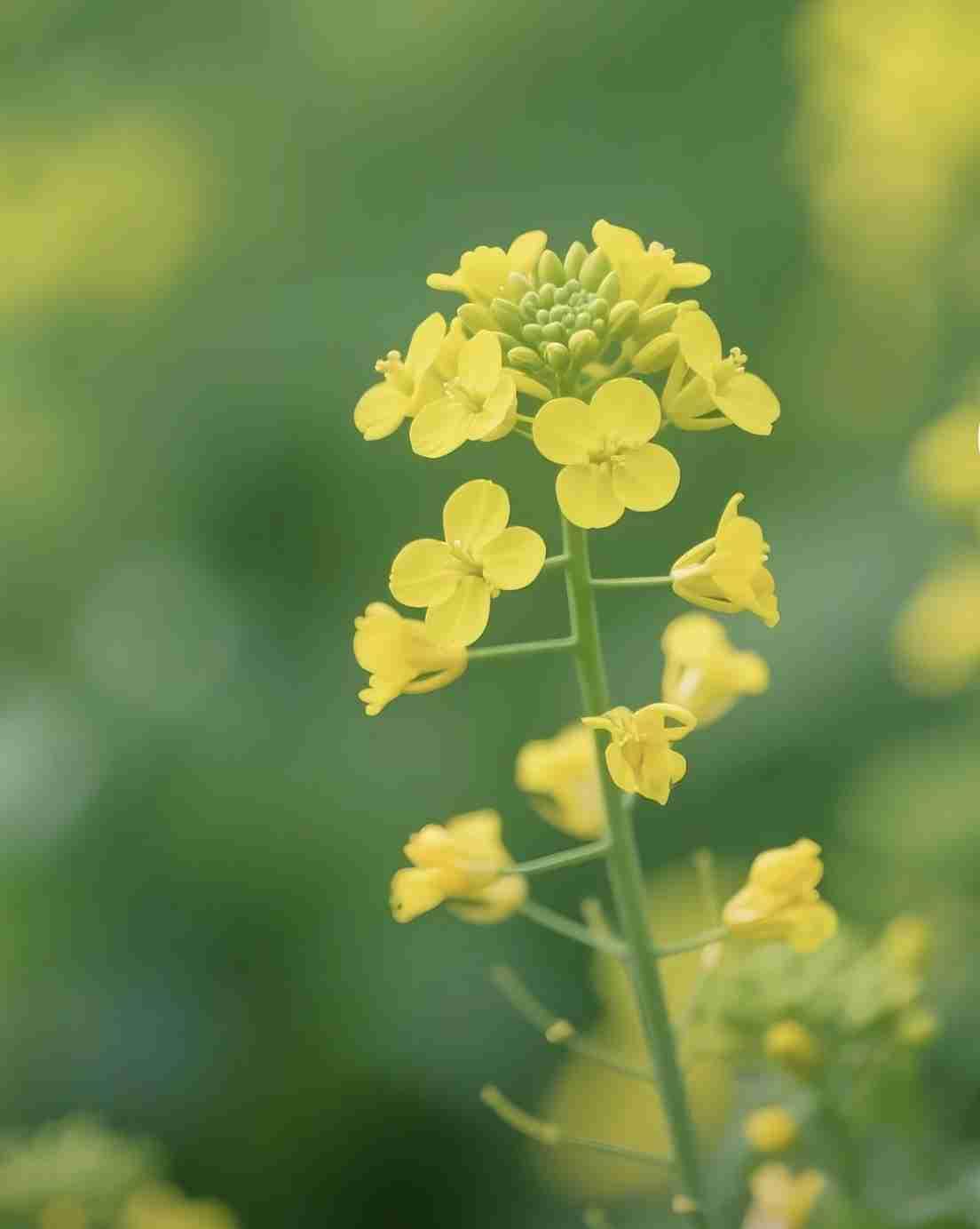 我的今日状态：😁轻松愉快
我这里的天气：🍂微风