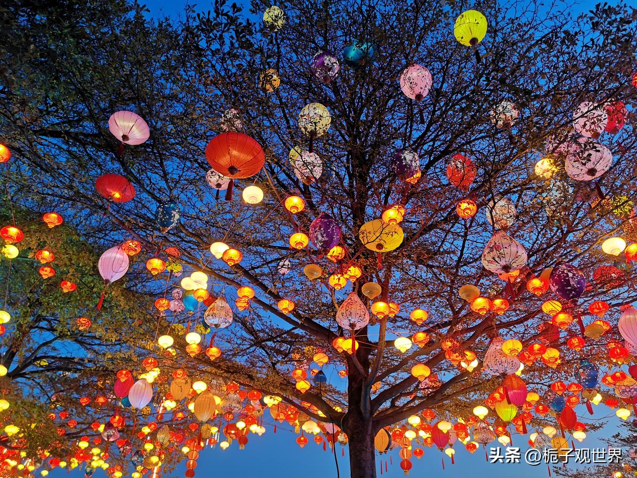 厦门集美园博园欣灯有感，
花灯漫卷春风意，火树银花缀良辰。