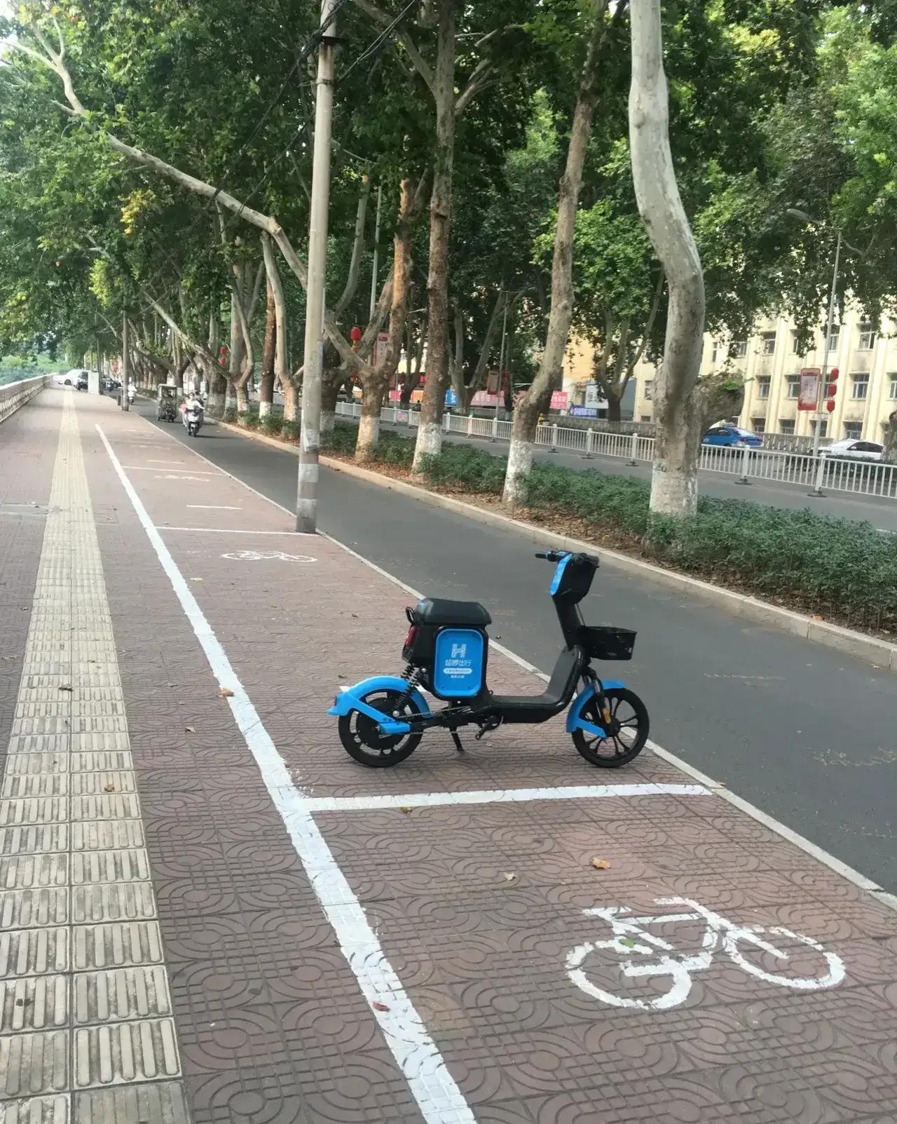 共享单车在鹰城的崎岖坎坷路！
昨天下午站在中兴路湛河大桥北引桥上，看到绿源东街边