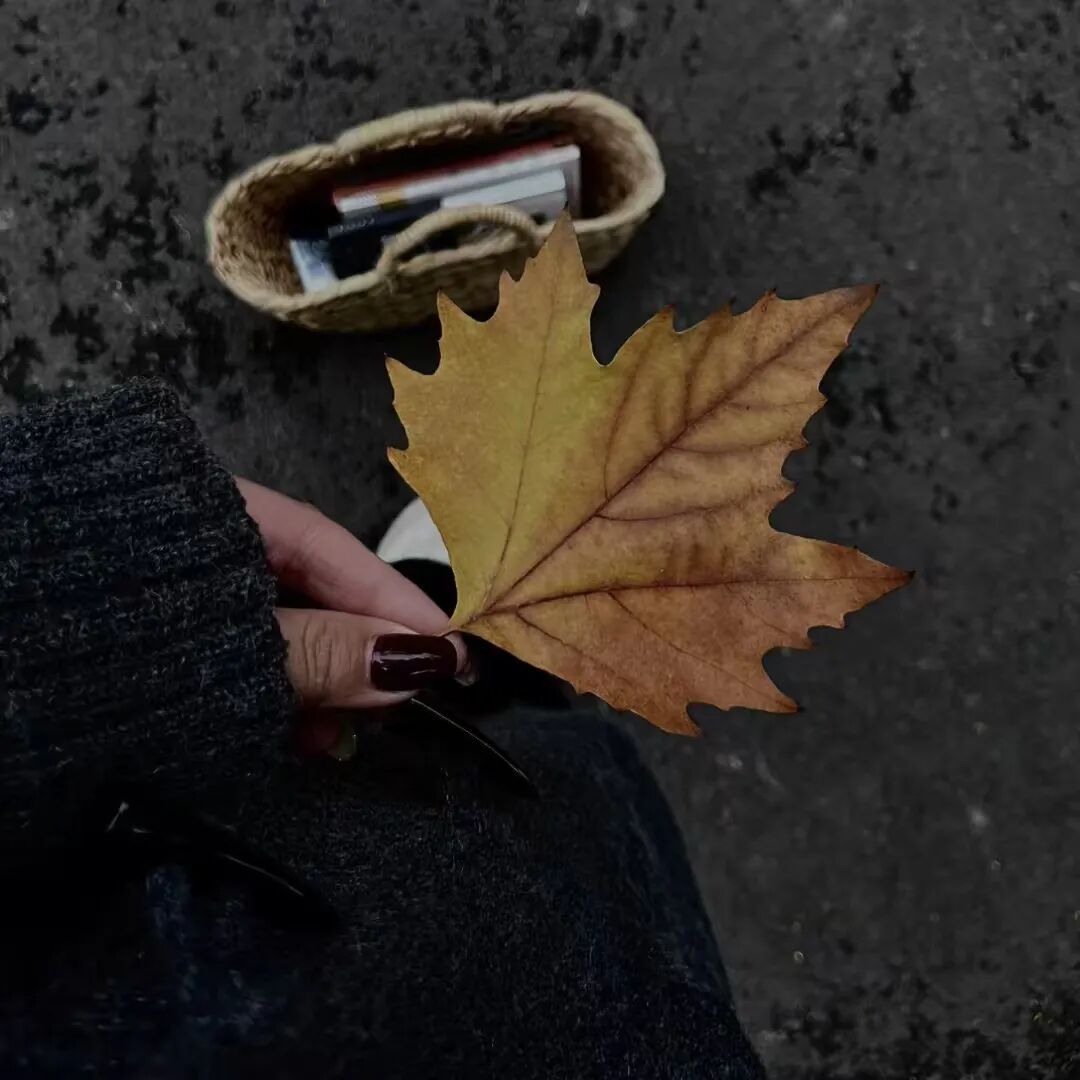 幸好只是浅尝辄止 再久一点我就要发现你太多太多的缺点了 相比于被你分手 我更接受