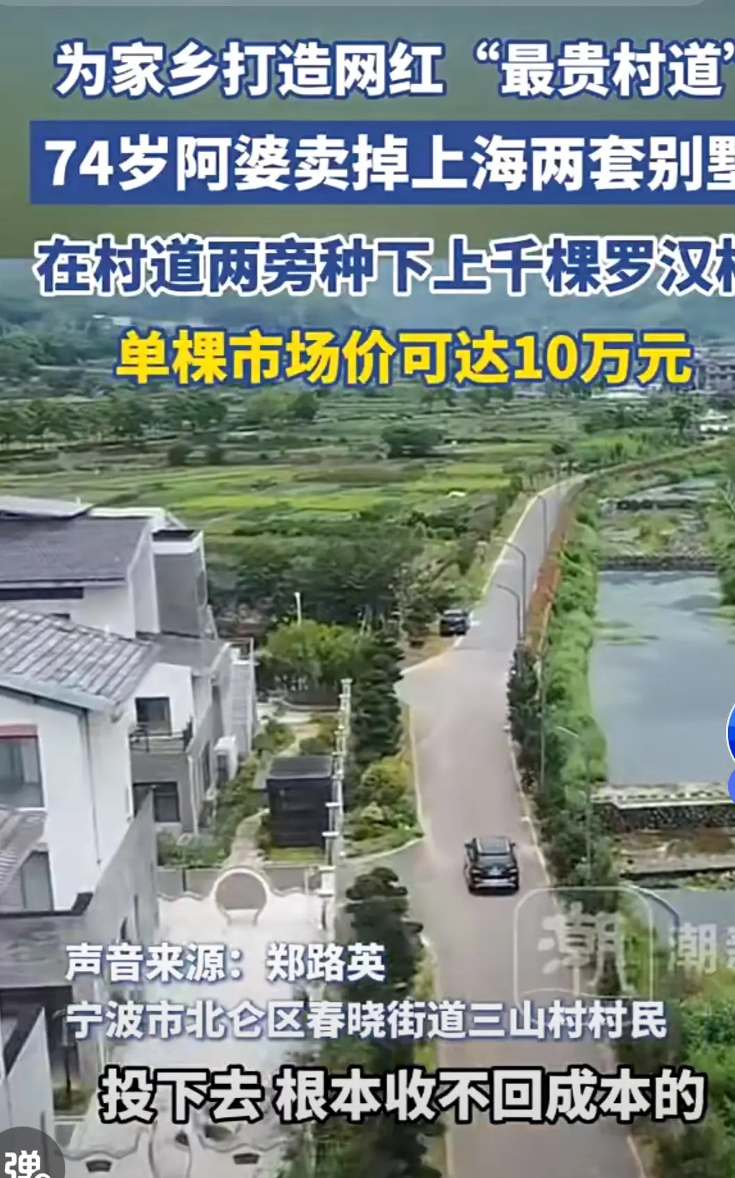 74岁阿婆卖掉上海2套别墅返乡种树多数老年人养老只追求安稳富足，郑阿婆跳出世俗的