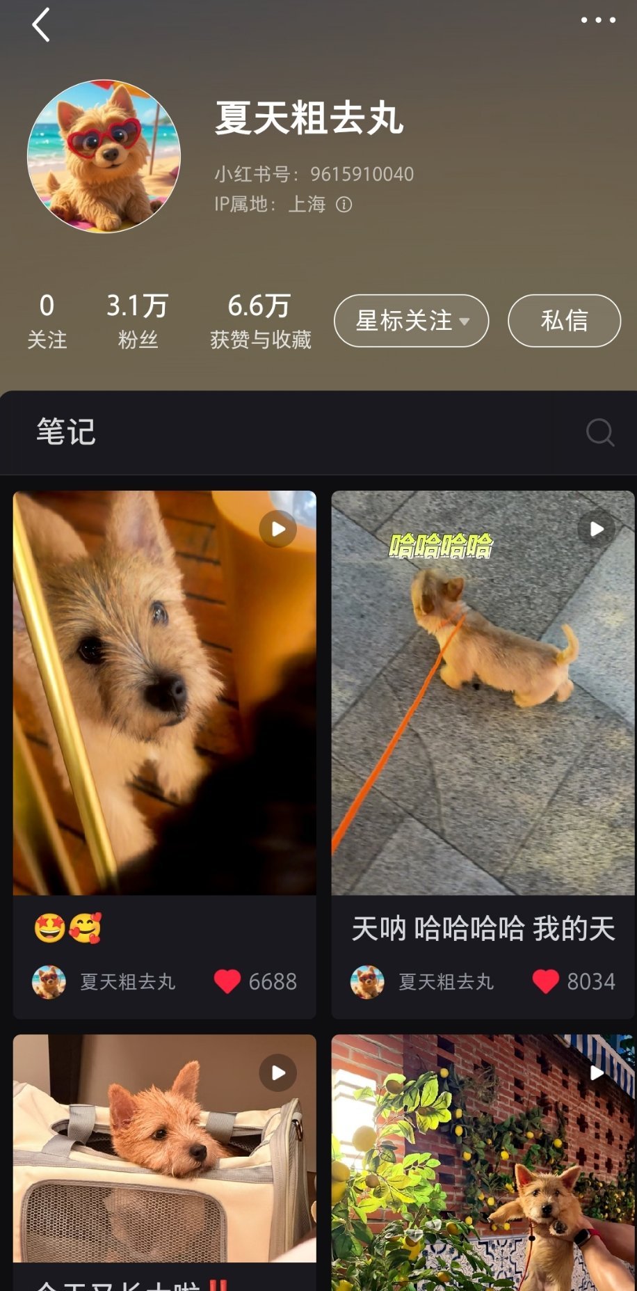 五万粉福利想要夏天吃播 十万粉福利想看看夏天爸爸腹肌。