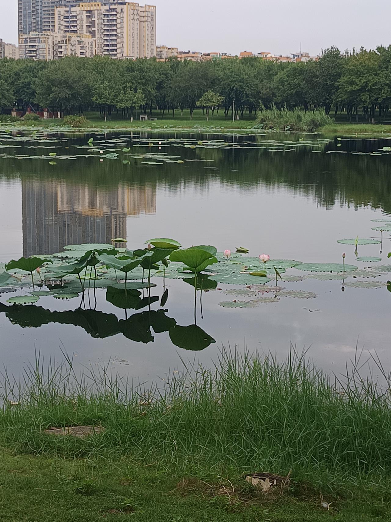 我在星湖边
发现一个很严重的问题
嗯不知道怎么说才好





你敢相信吗？这里