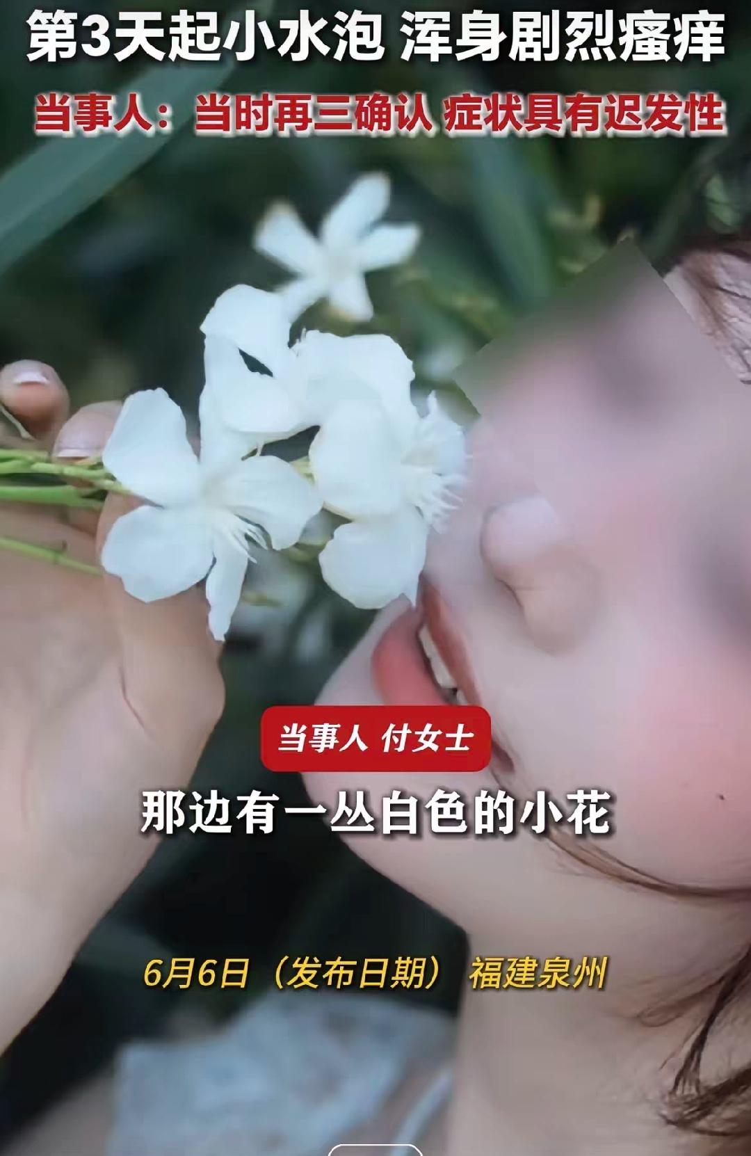 她把白色夹竹桃塞进嘴里的时候，觉得这花真好看。她不知道，三天后自己会变成什么样。