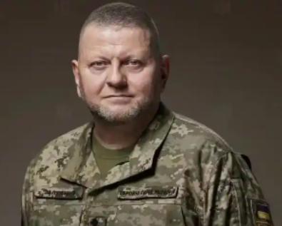 乌军前司令扎卢日内说了一句大实话，这个世界上没有任何一个国家能阻止俄乌战争，美国