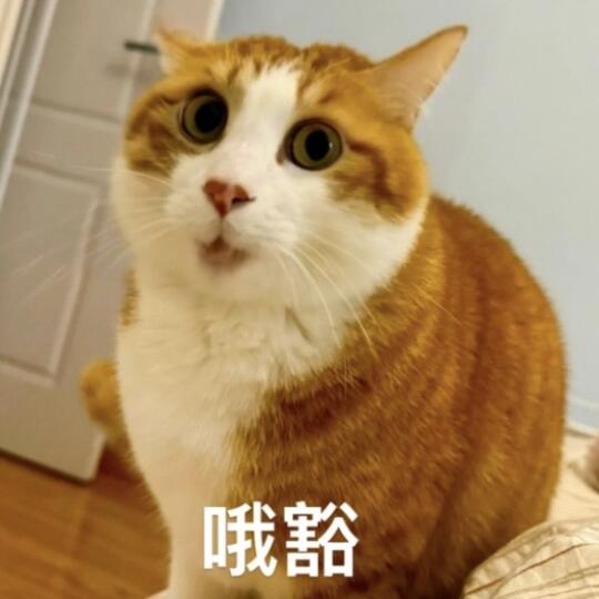 四川人都懂的表情包