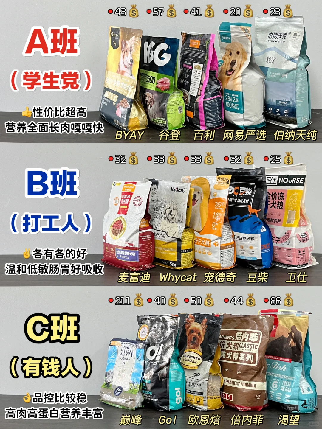 实力出圈！新品性价比狗粮就是要选对不选贵