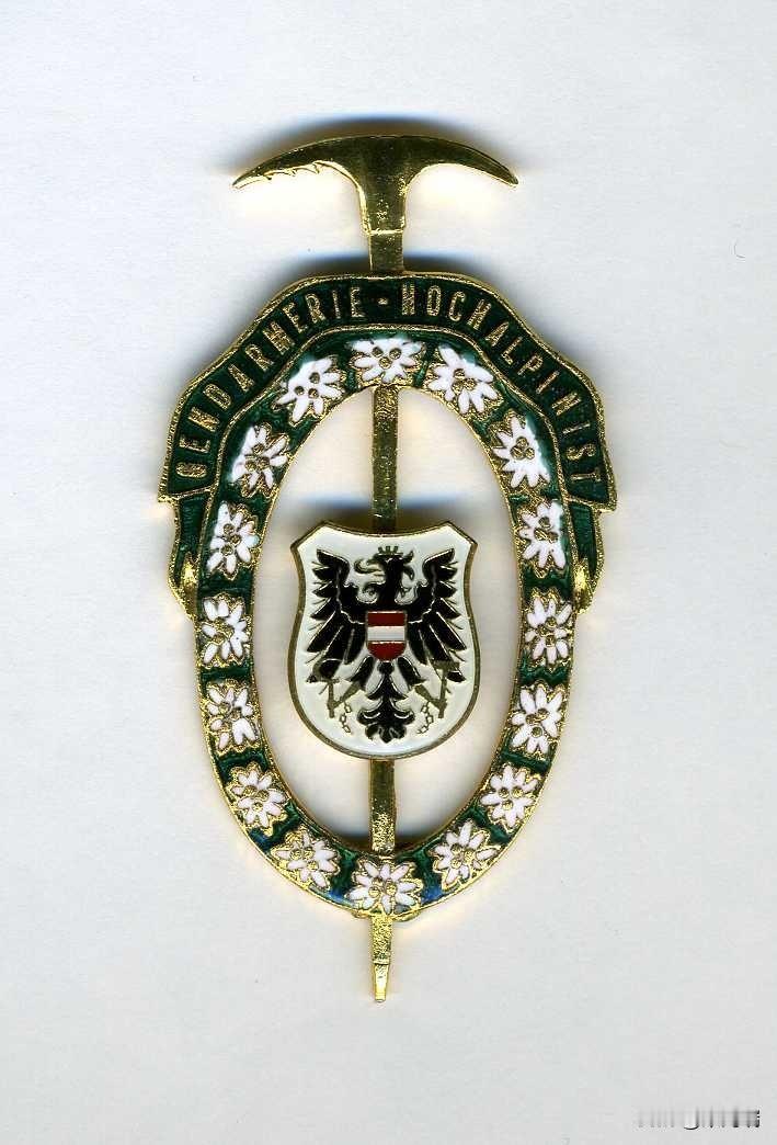 这个徽章是奥地利宪兵高山专家徽章（Gendarmerie-Hochalpinis