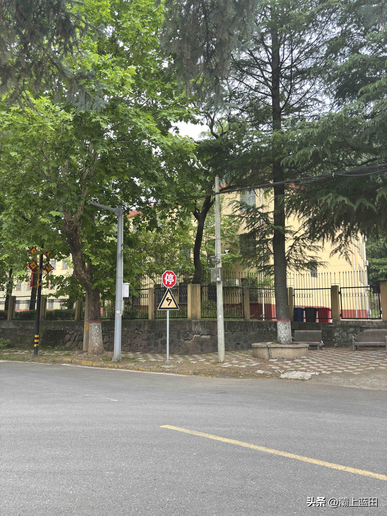 渭南华州区金堆镇百花学校，上世纪八十年代初建的，曾经这学校培养出了清华学子，也是