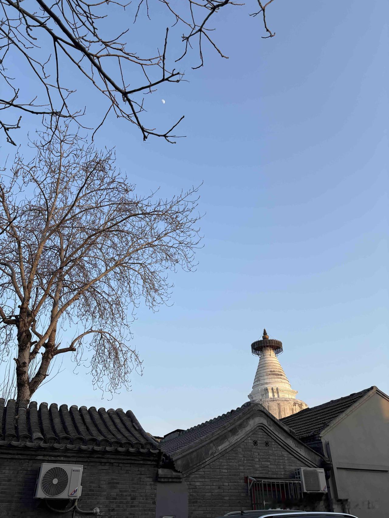 好久没有去北京这么接地气儿的地方了。白塔寺附近众多的餐吧、咖啡馆、小店，这是北京