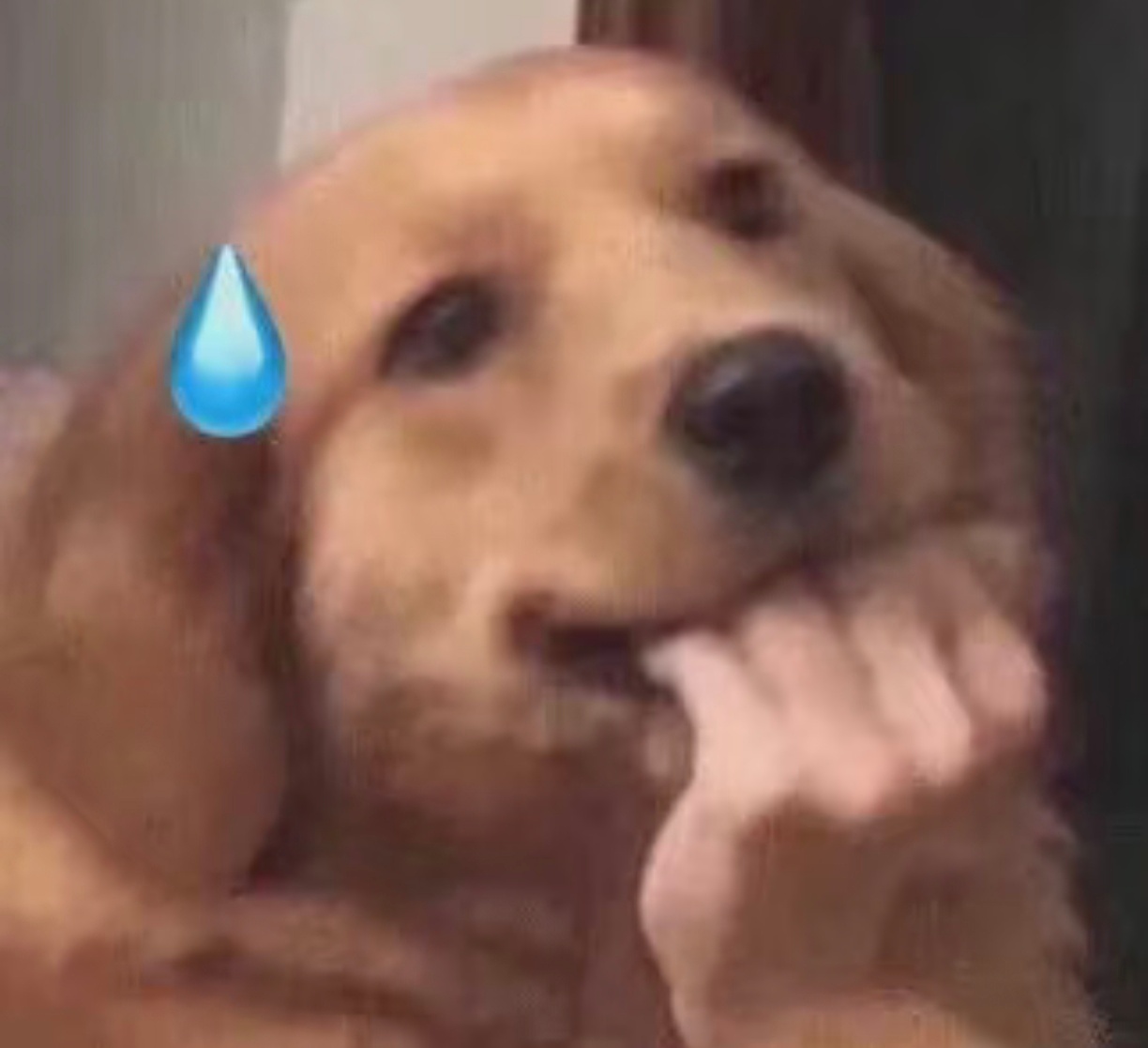 一句AI否定了小猪的全部努力现在网上已经形成一种思维惯性：画面越惊艳，第一反应先