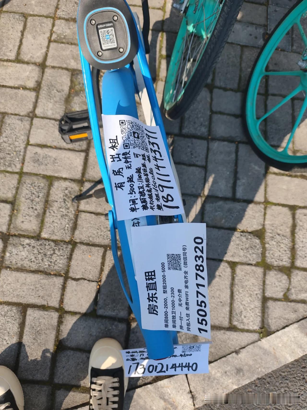 看看这哈啰单车？就知道杭州的房子有多难租了？