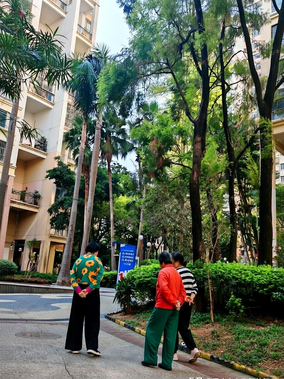 发现家里变了味时，往往不是哪根白发，是这些细枝末节：旧塑料袋、空瓶、破毛巾越攒越