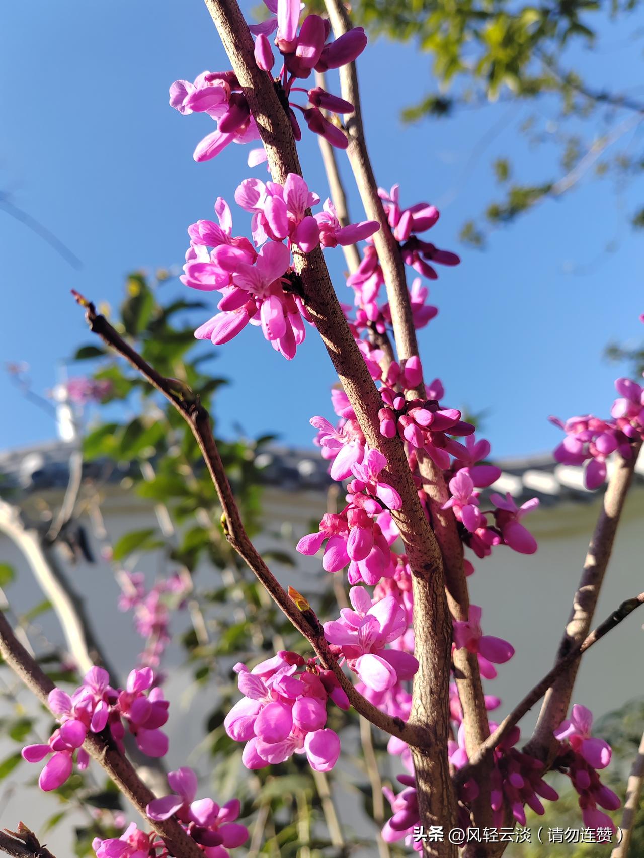 看到这个上联“清清楚楚看清楚”，还挺有难度的。“清清楚楚”是AABB式的叠词，且