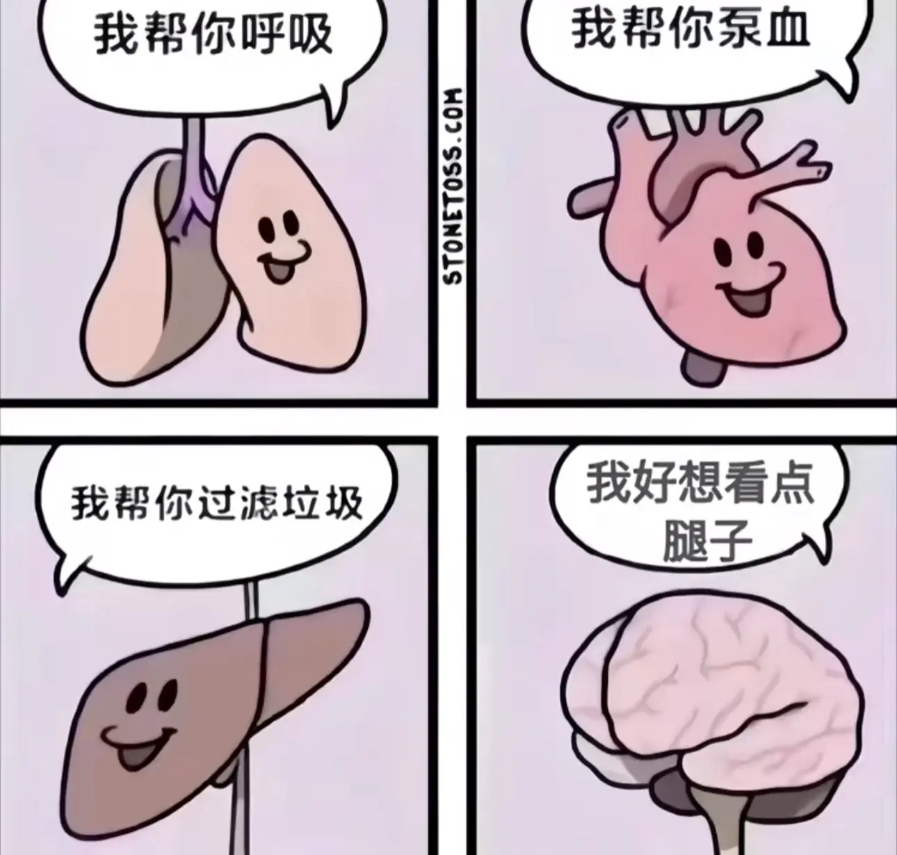 请关闭自瞄🚪（小米粉）