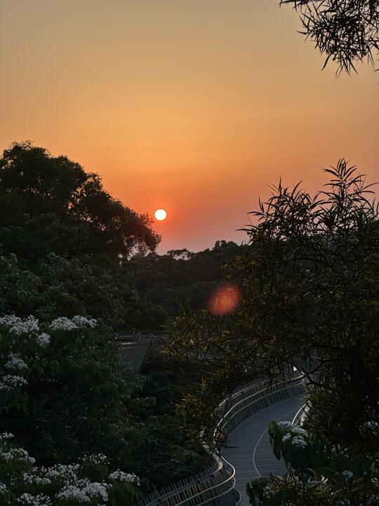 在福州看到了绝美落日！今日绝美live分享🌅