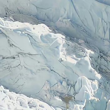 阳光信用 阳光信用每日一善 学习向日葵，做一个积极吸收正能量的人。生活中其实没多