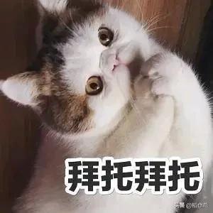 一夜入冬啊，前天穿着短袖，热的走几步就汗冒冒的。

昨个长袖T恤加外套，一件冬天