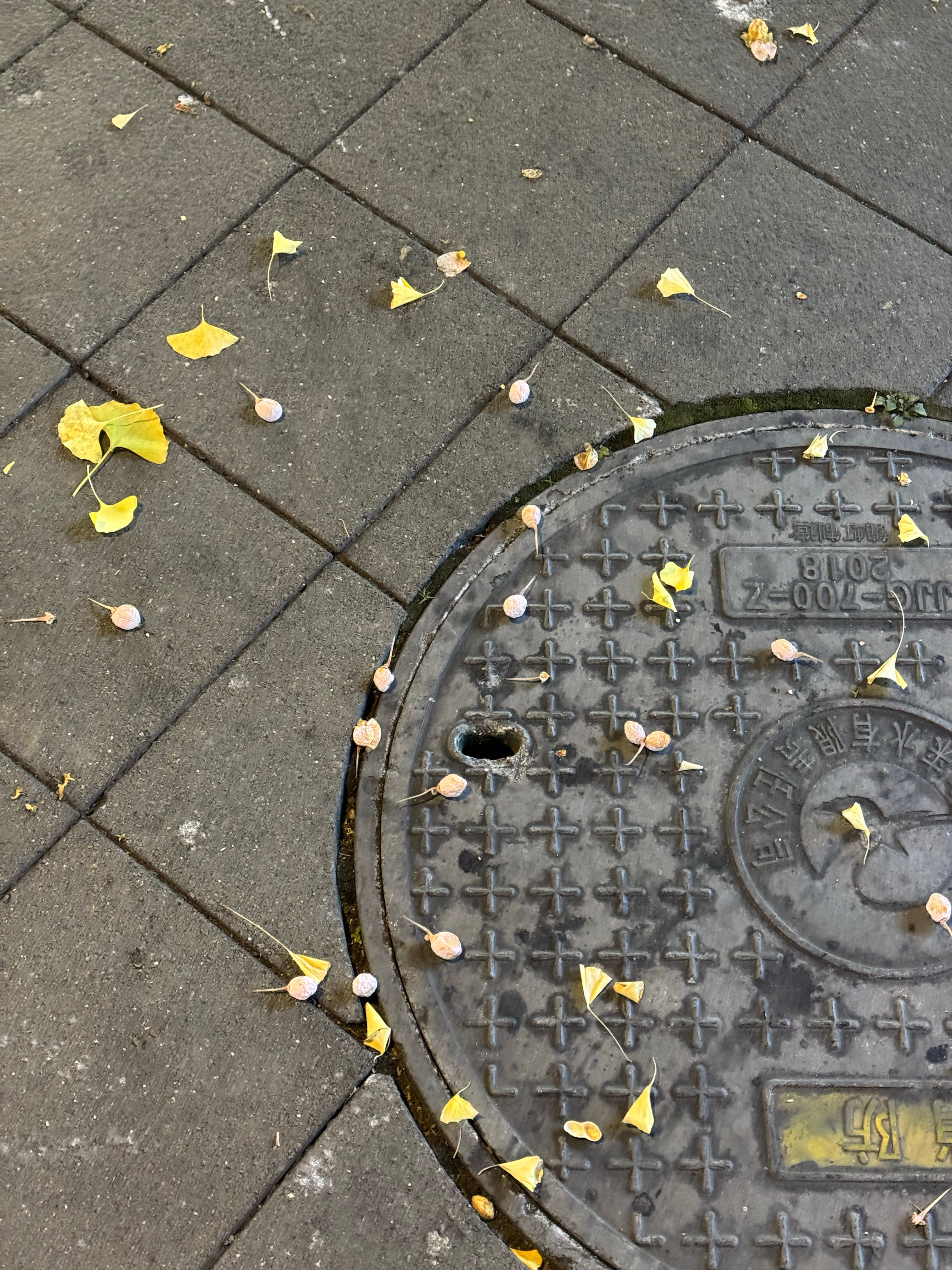 跟炸弹一样，踩一个能臭一天 