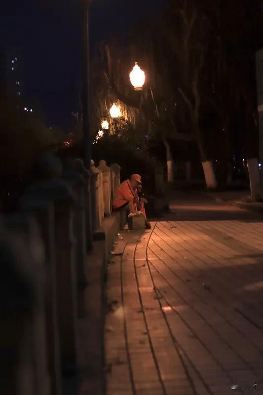 少年驰途·莫负韶光
 
少年正值驰鞍时，岂堪懒对风沙？一味贪恋毡房温软，待到霜华