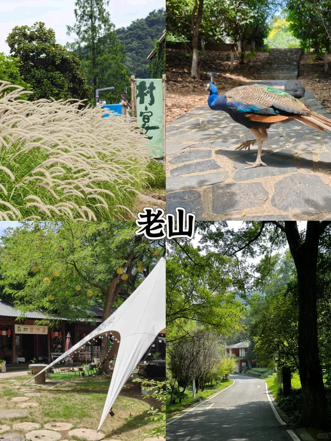 📍南京浦口｜团建去哪玩❓吃喝玩乐攻略