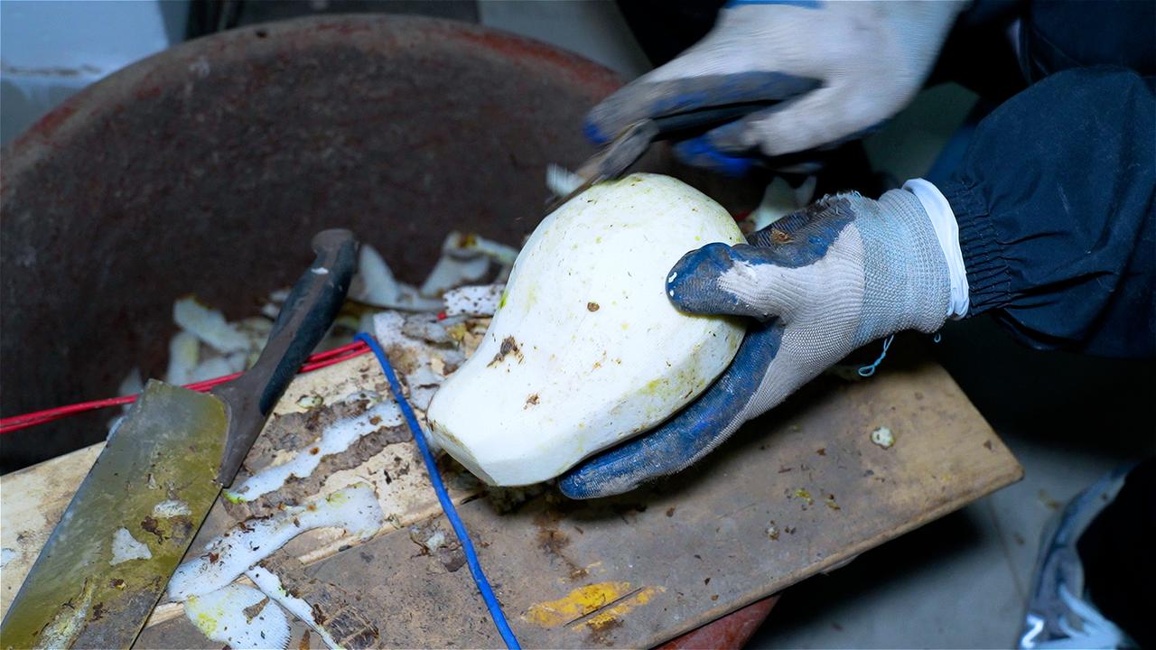 每天早上7点，她便开始忙碌。新鲜的菜芋削皮，在刨刀下化作细丝，与地瓜粉反复揉搓，