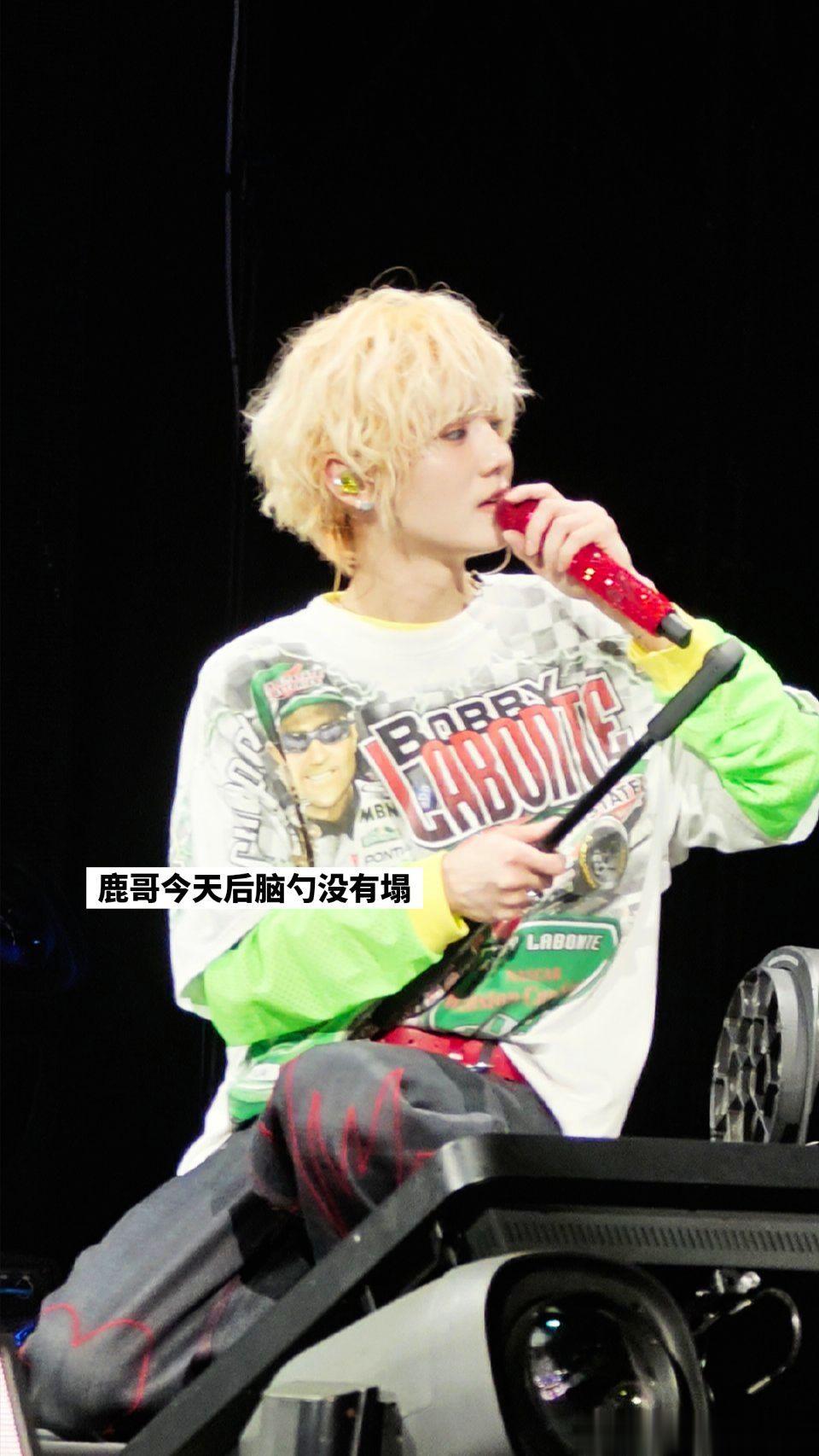 今天是圆圆的后脑勺