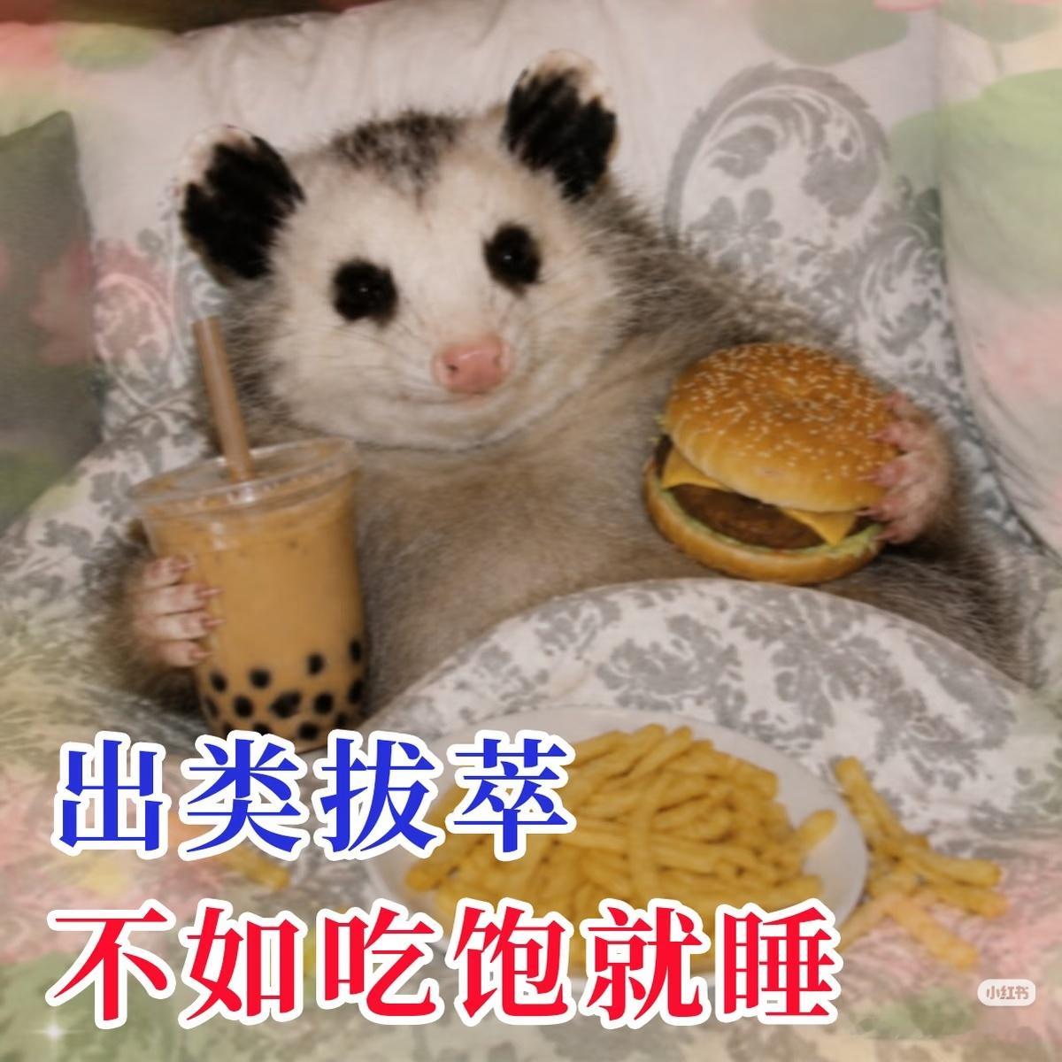 生活手记宋朝是含金量最高的朝代因为金人占了全壁江山