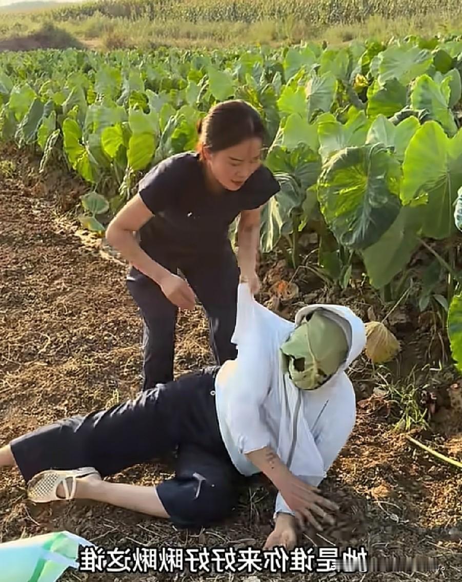 小故事！
   这刘二蛋 可真会打扮 为吃两个芋头，她就把自己装扮的，像一个檬面