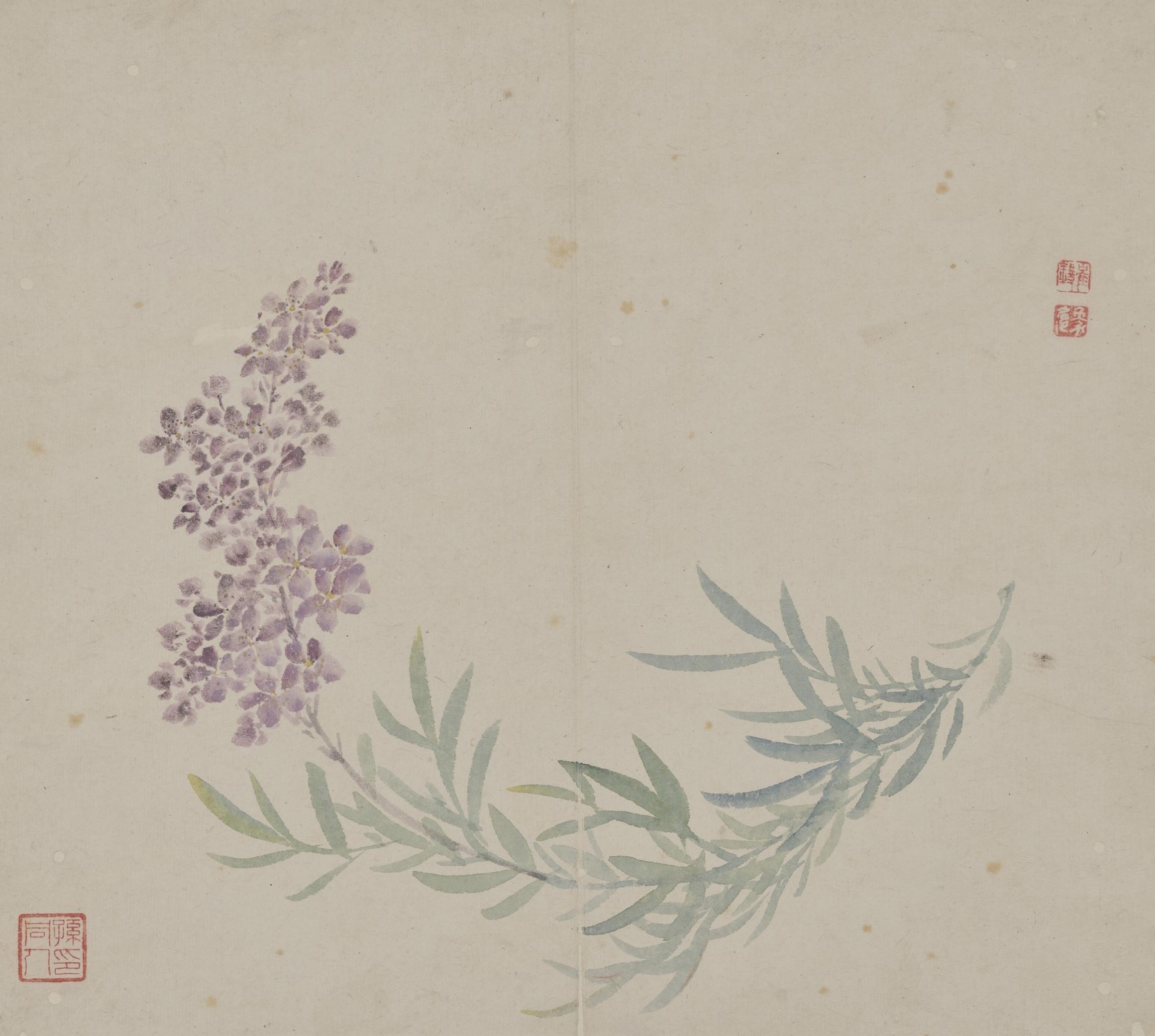 【雍正年间的没骨花，清润净丽，满纸温柔】-图｜清·崔鏏《没骨花卉册页》遇见艺术新