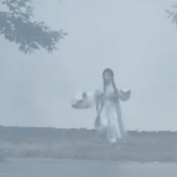 前面那个不知道是谁，反正是真的很像了