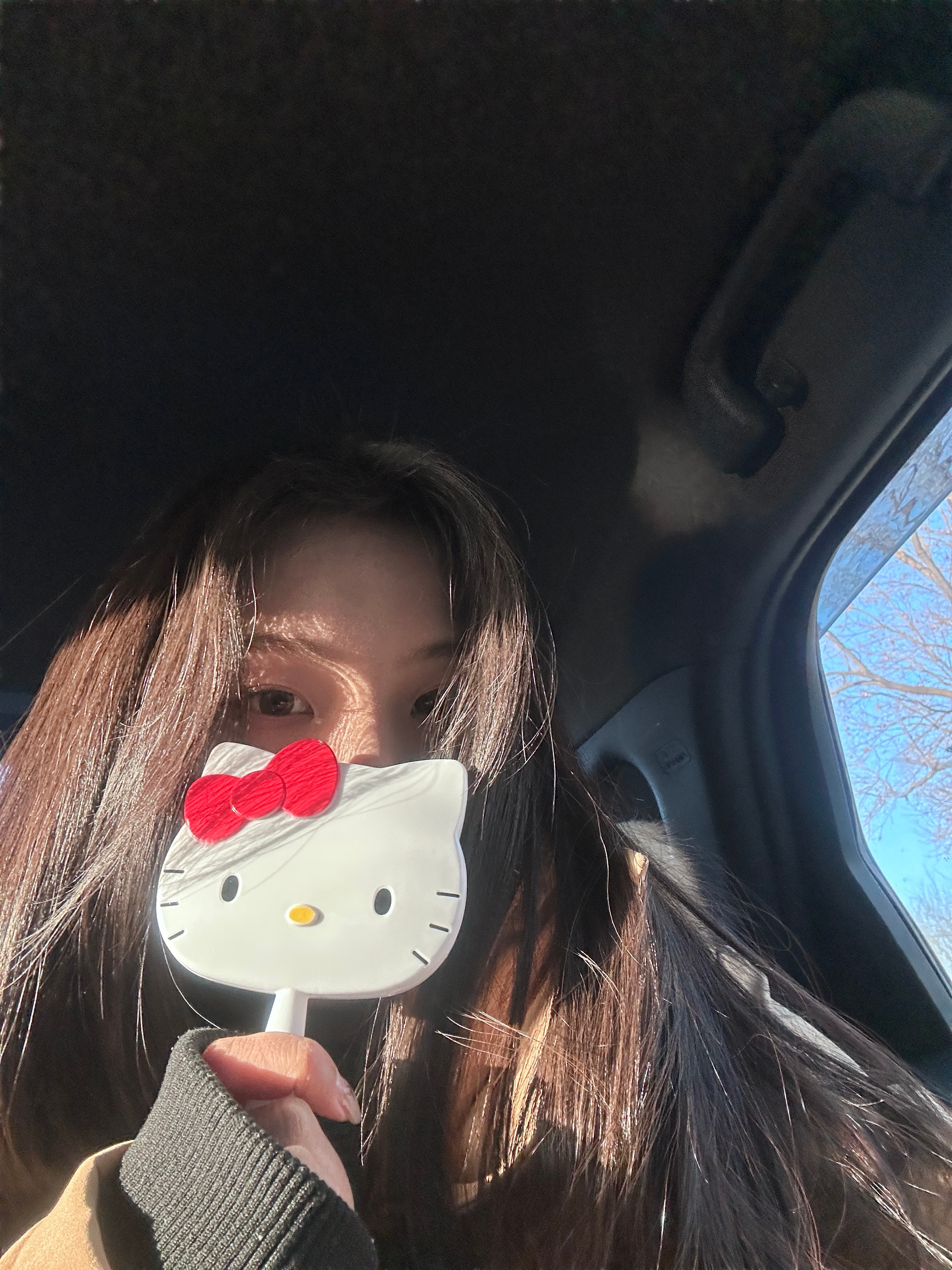 🦊ᯓ.🐰 ⁺⁎˚🚔 𝗜𝗻 𝗭𝗼𝗼𝘁𝗼𝗽𝗶𝗮Have a