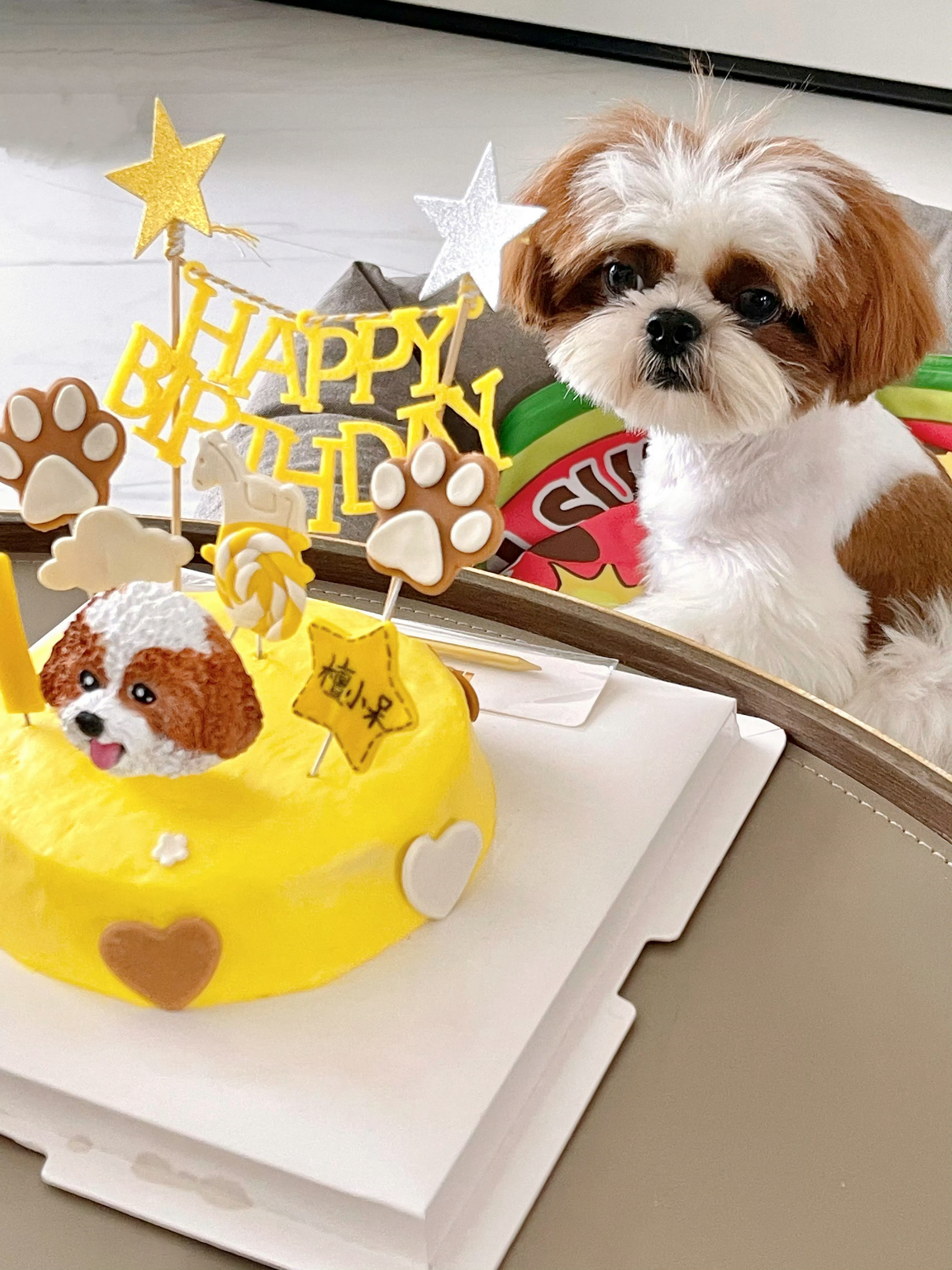 今天是四岁小狗了呢。檀小呆生日快乐！爸比会不会悄悄准备惊喜呢