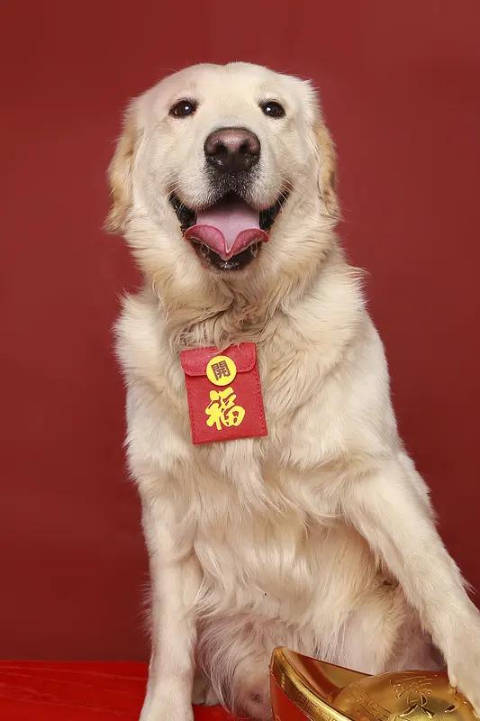 今儿初七，这拜年可有讲究。在传统习俗里，初七是“人日”，也就是人类的生日。这一天