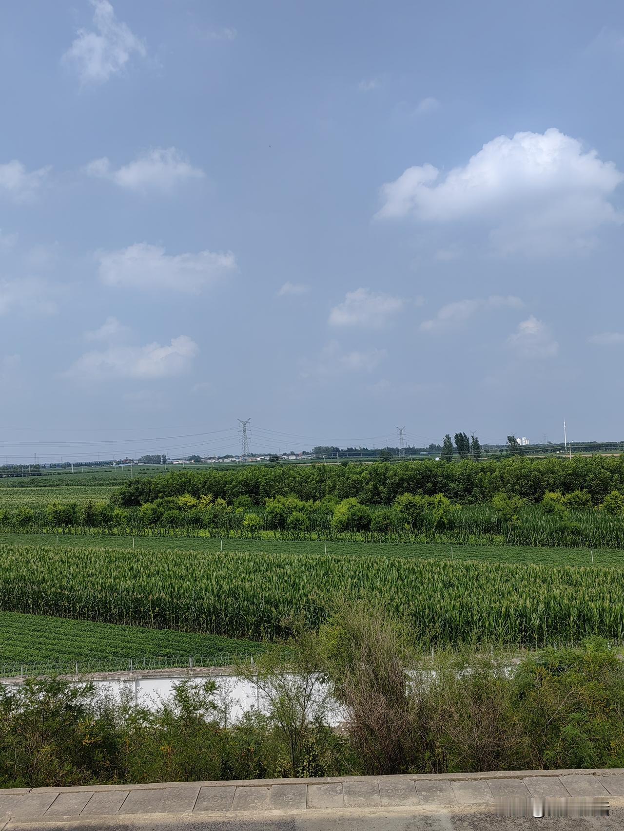 又是出差跑农业项目的一周，大家发现没有？这几年，不管做啥项目，没有以前那么简单了