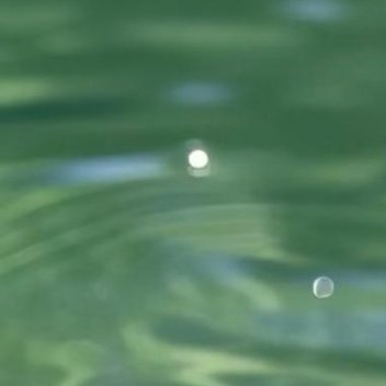 阳光信用平凡不是平庸，守住日常烟火，用心经营，平淡岁月亦藏万般欢喜。
